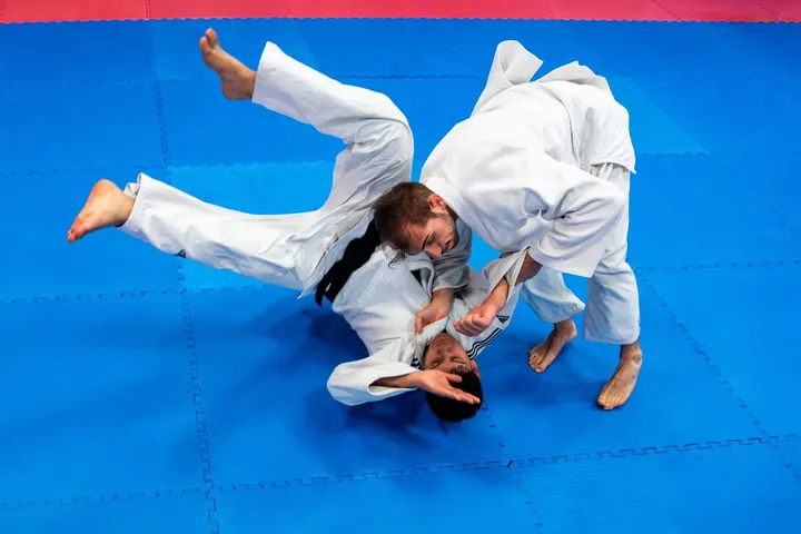 Judo Reggio Emilia Equipe — arti marziali-studio a San Giovanni Bosco-Gardenia, Reggio Emilia — 3
