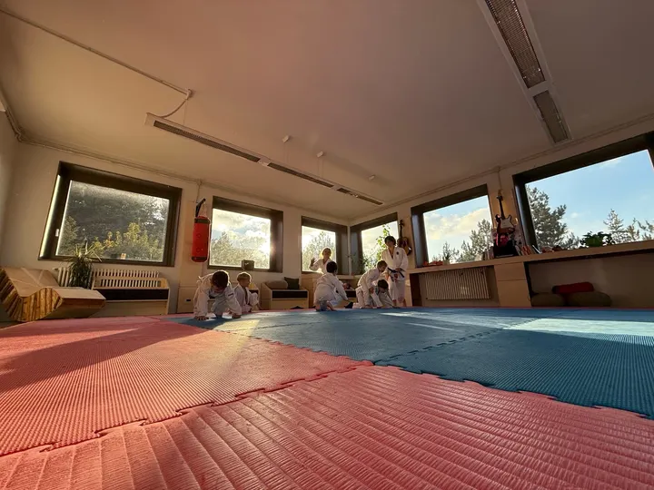 Judo Reggio Emilia Equipe — arti marziali-studio a Reggio Emilia — 3