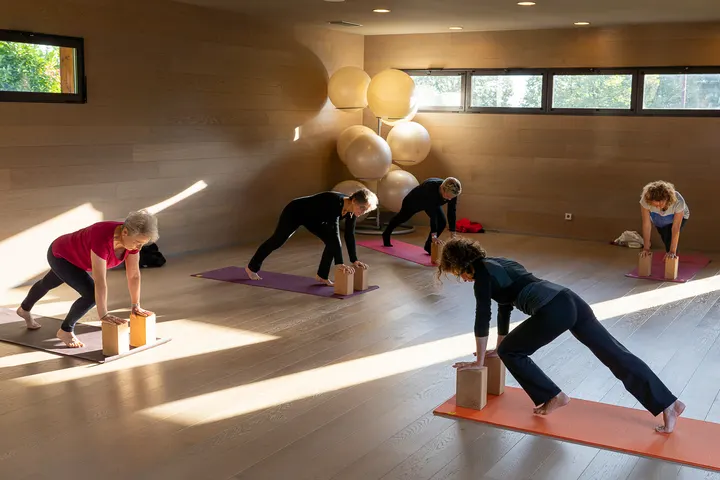 Kedreos — yoga-studio à Crolles — 2
