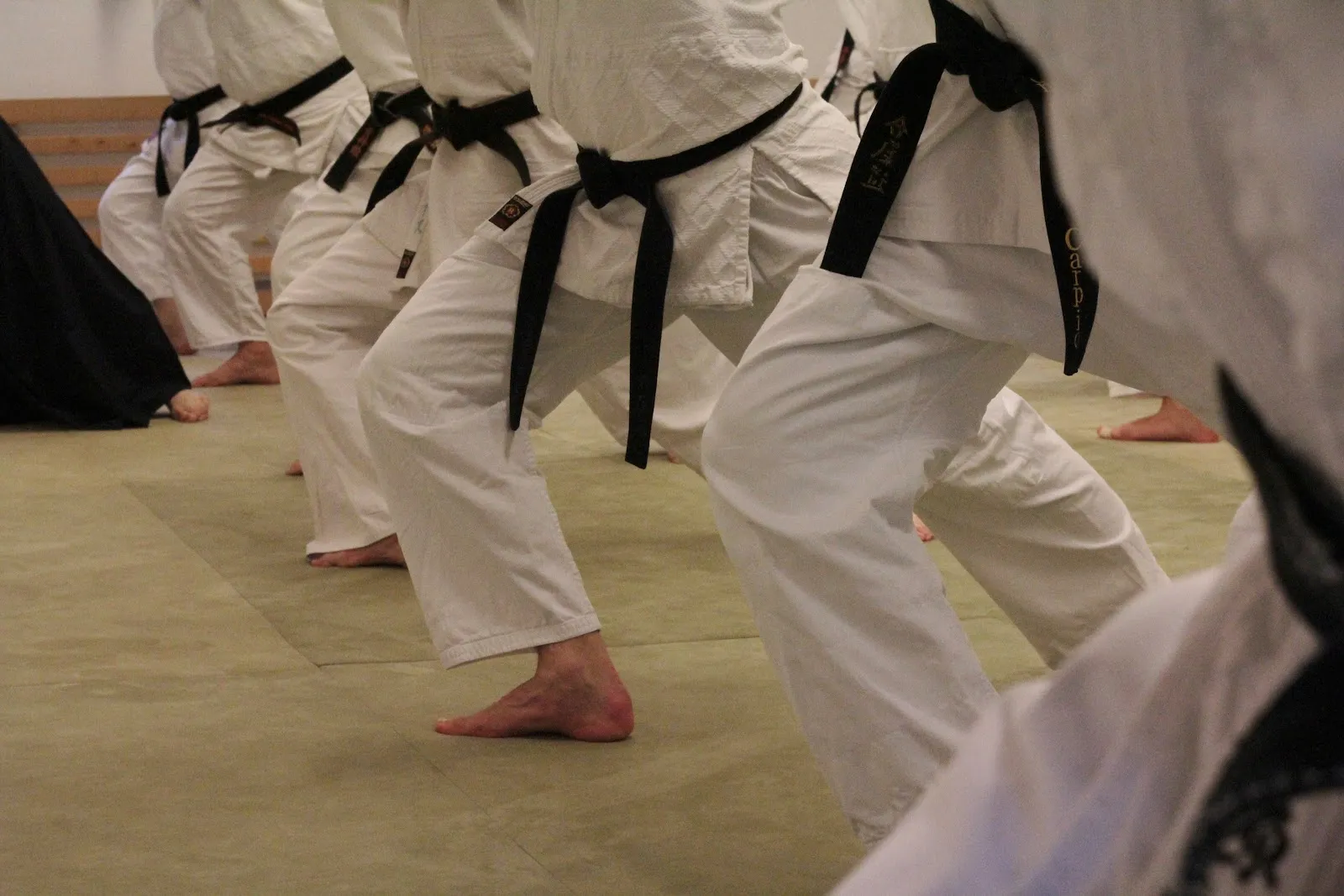 Aikido Yoshinkan YOMEIKAN — kampfsport-studio in Maxvorstadt, München — 2