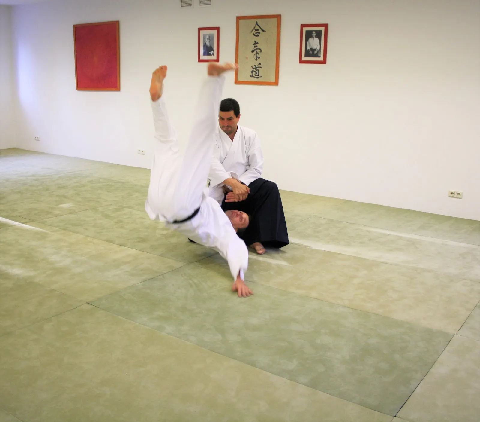 Aikido Yoshinkan YOMEIKAN — kampfsport-studio in München — 5