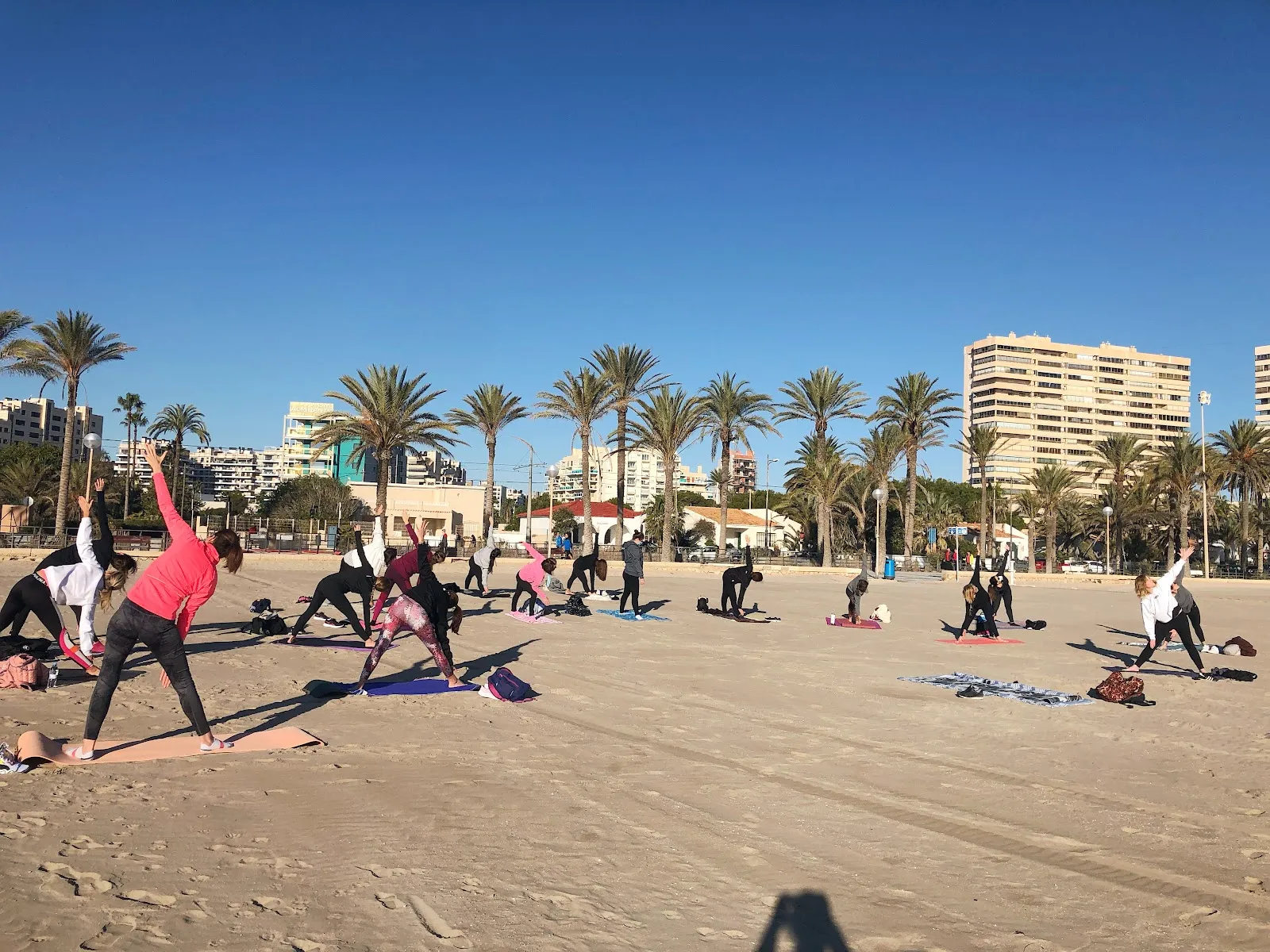 Sara Cibanal Yoga — yoga-studio en Alicante — 2