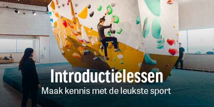 Beest Boulders Delft — boulderen-studio in Voorhof, Delft — 3