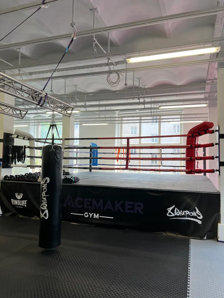 Peacemaker Gym Leipzig | Muay Thai, Boxen & Fitness — Fitness Studio in Plagwitz, Leipzig
