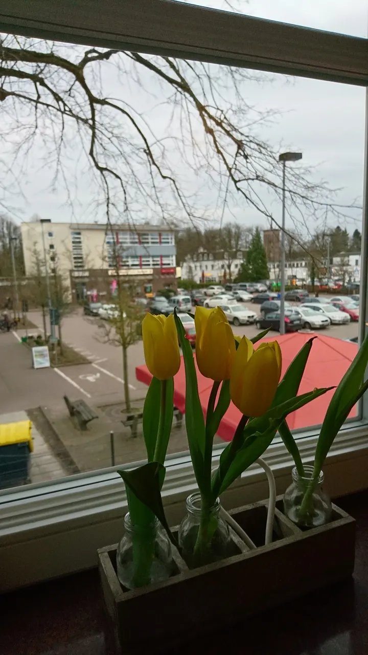 Pilates-Yoga-Loft — yoga-studio in Hamburg — 5