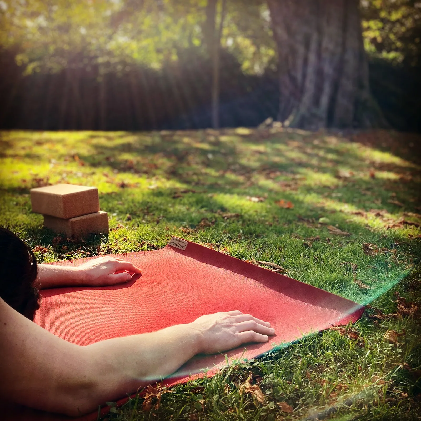 Studio 52 Susanne Hiepel Yogaschule — yoga-studio in Bonn — 4