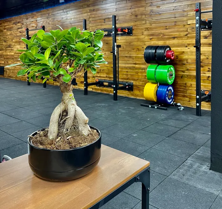 Anatómiko Fitness Bernabéu — crossfit-studio en Madrid — 5