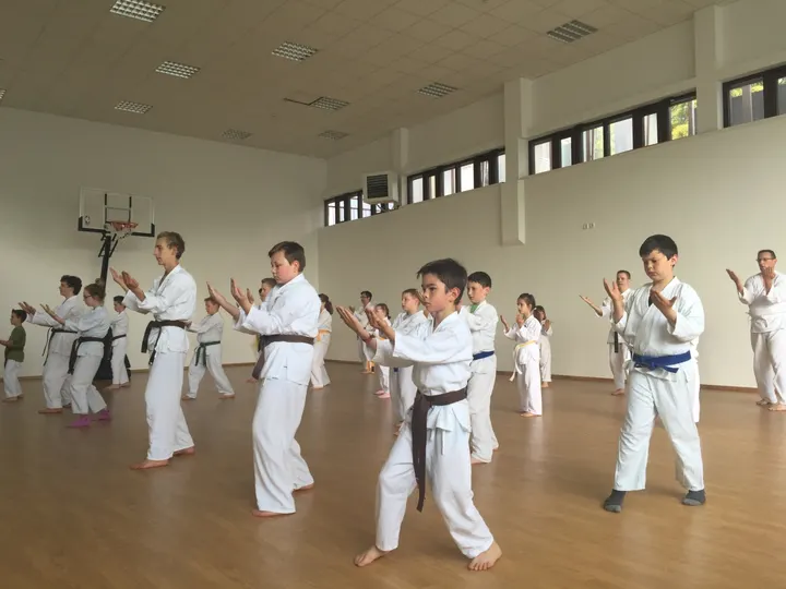 Okinawa Karate Uechi Ryu Würzburg — kampfsport-studio in Zellerau, Würzburg — 3