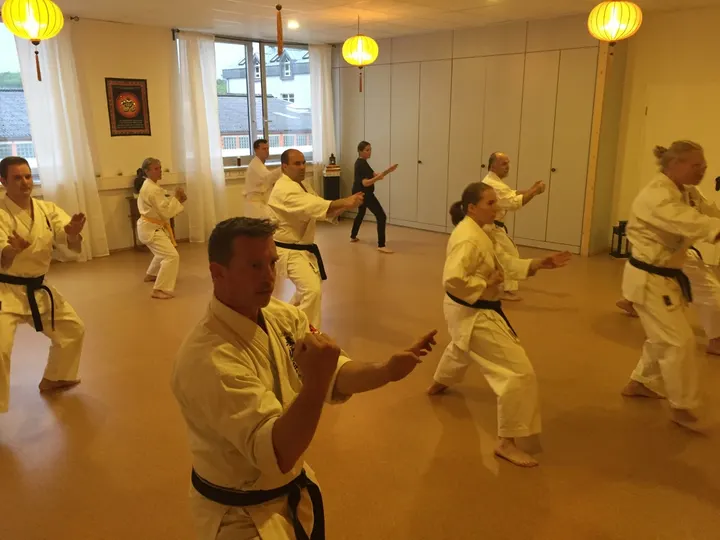 Okinawa Karate Uechi Ryu Würzburg — kampfsport-studio in Würzburg — 3