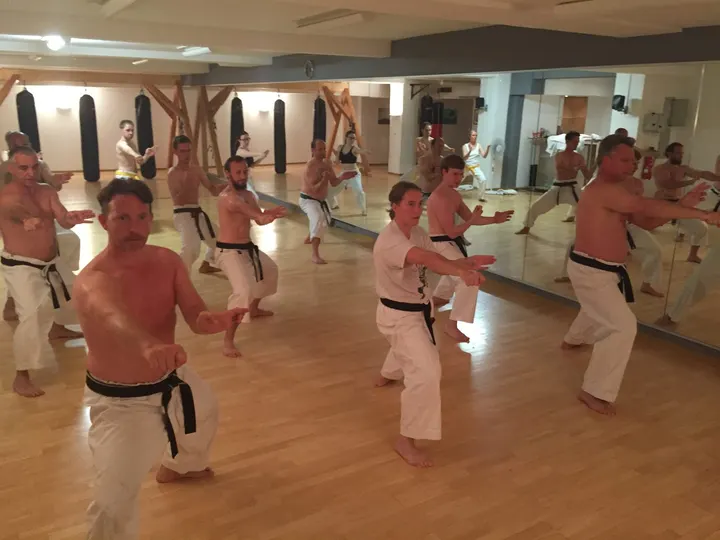 Okinawa Karate Uechi Ryu Würzburg — Kampfsport in Zellerau, Würzburg