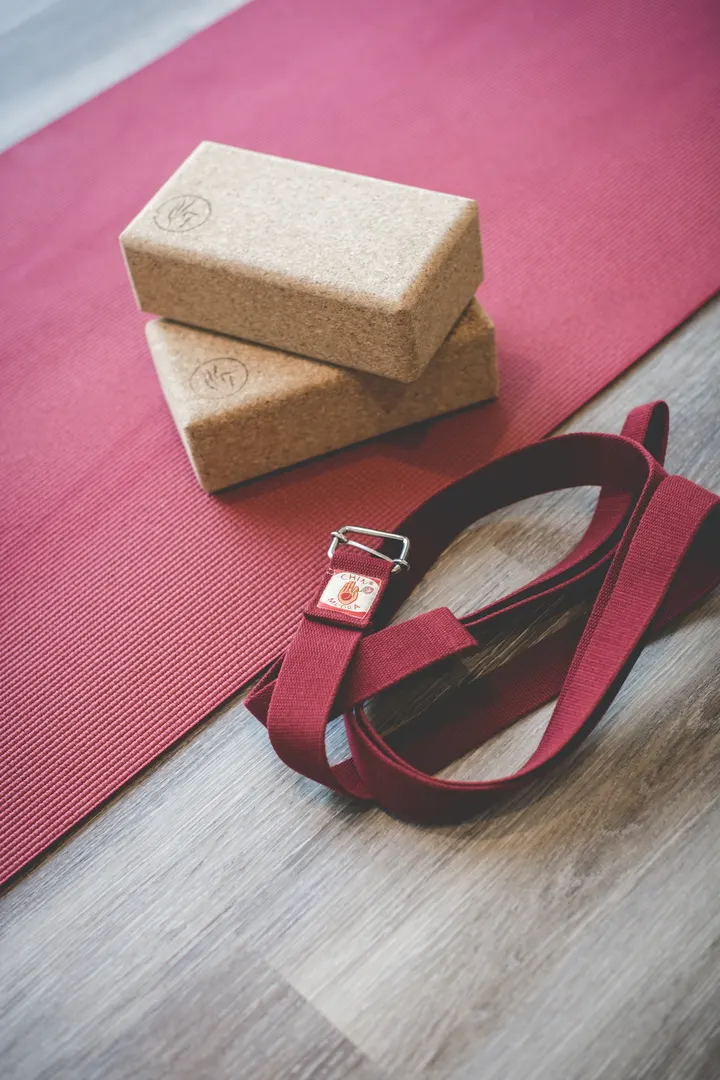 Yoga Saint Lazare — yoga-studio à Villemeneux, Brie-Comte-Robert — 2