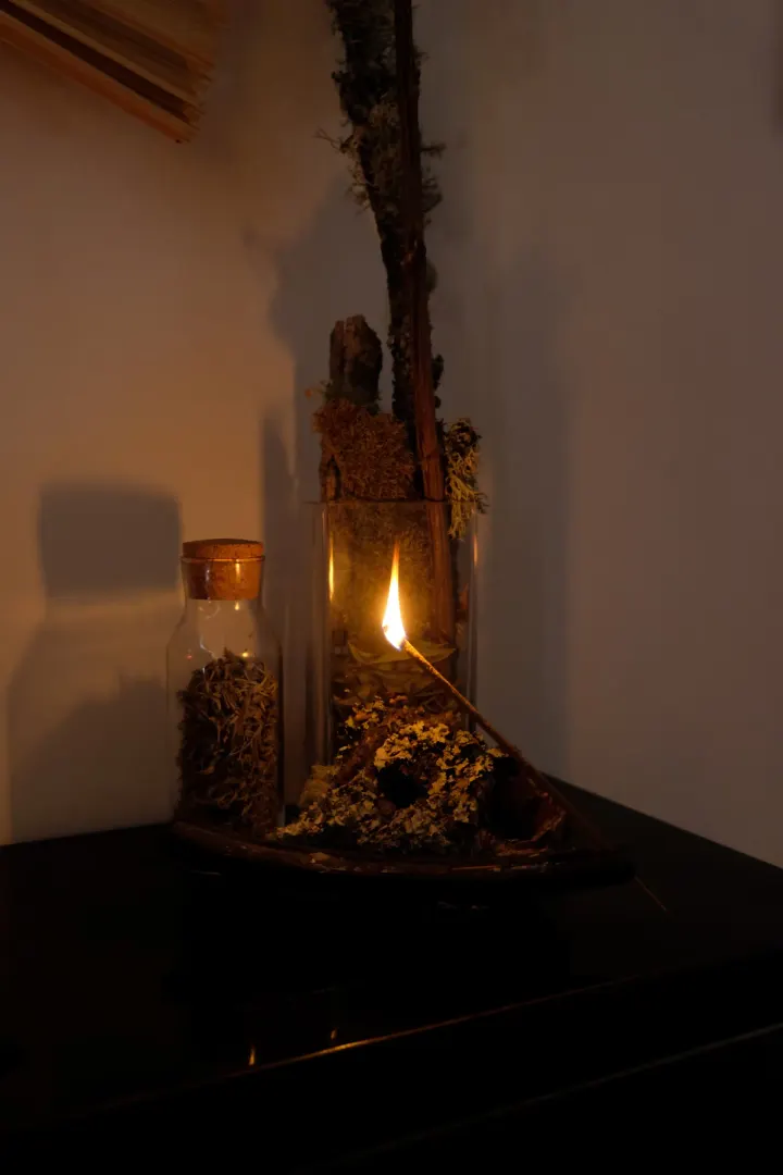 Yolga & Artes Terapêuticas — yoga-studio em Ovar — 3