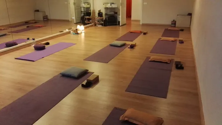 Centro de Yoga Anapranayoga — Yoga en La Soledat Nord, Palma
