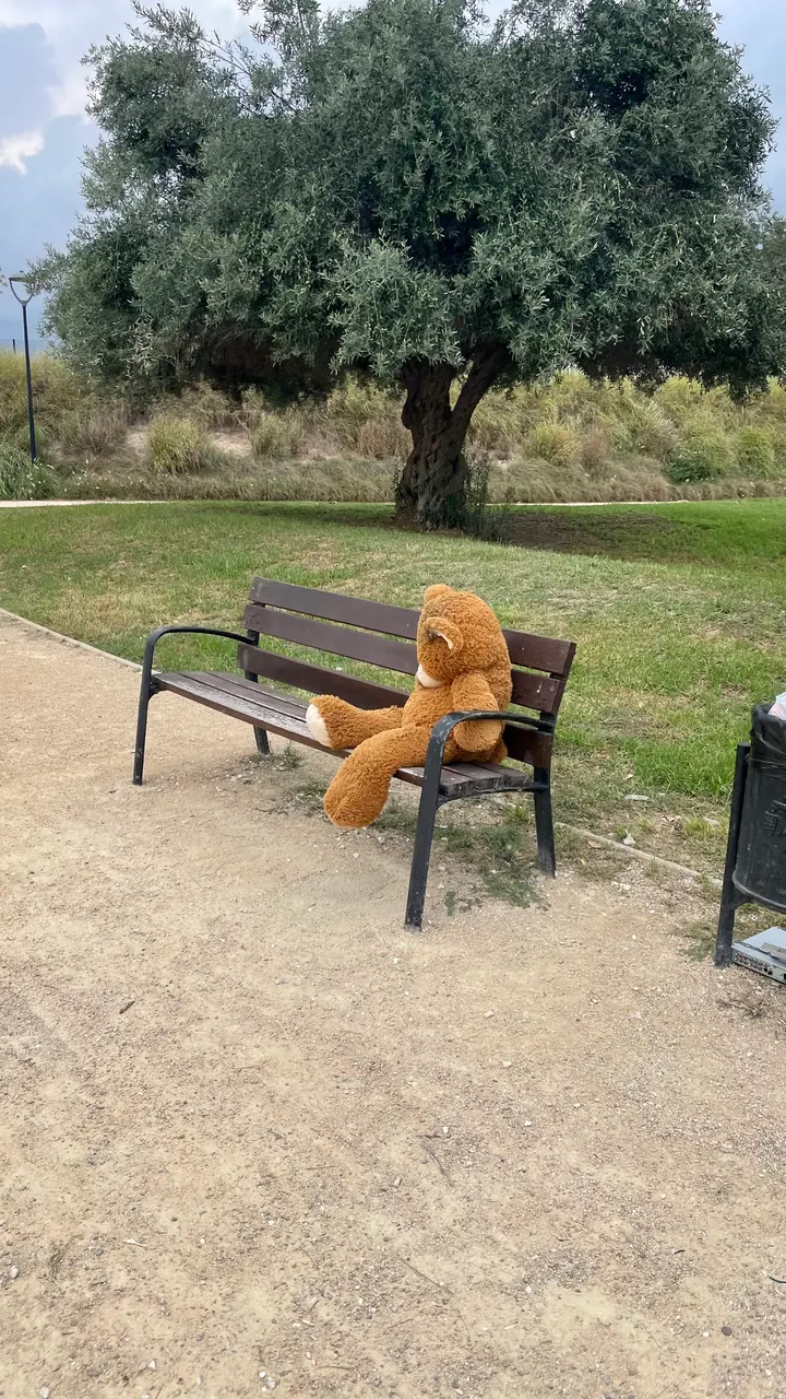 Parque de Calistenia — calisthenics-studio en Benidorm — 4