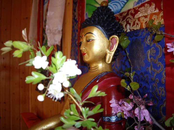Yoga Darshana Aranjuez — yoga-studio en Las Aves, Aranjuez — 2