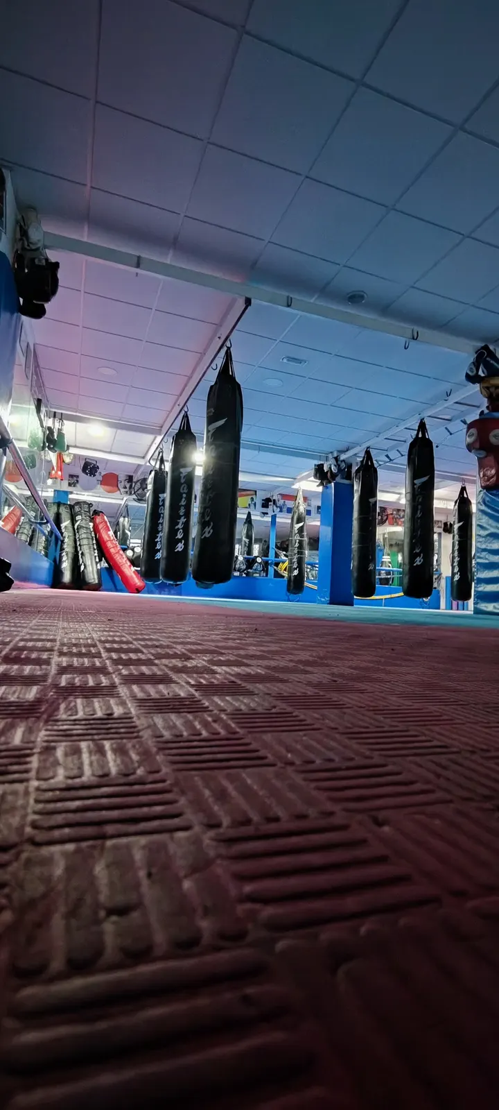 Tom Club, Artes Marciales — artes marciales-studio en La Laguna — 3