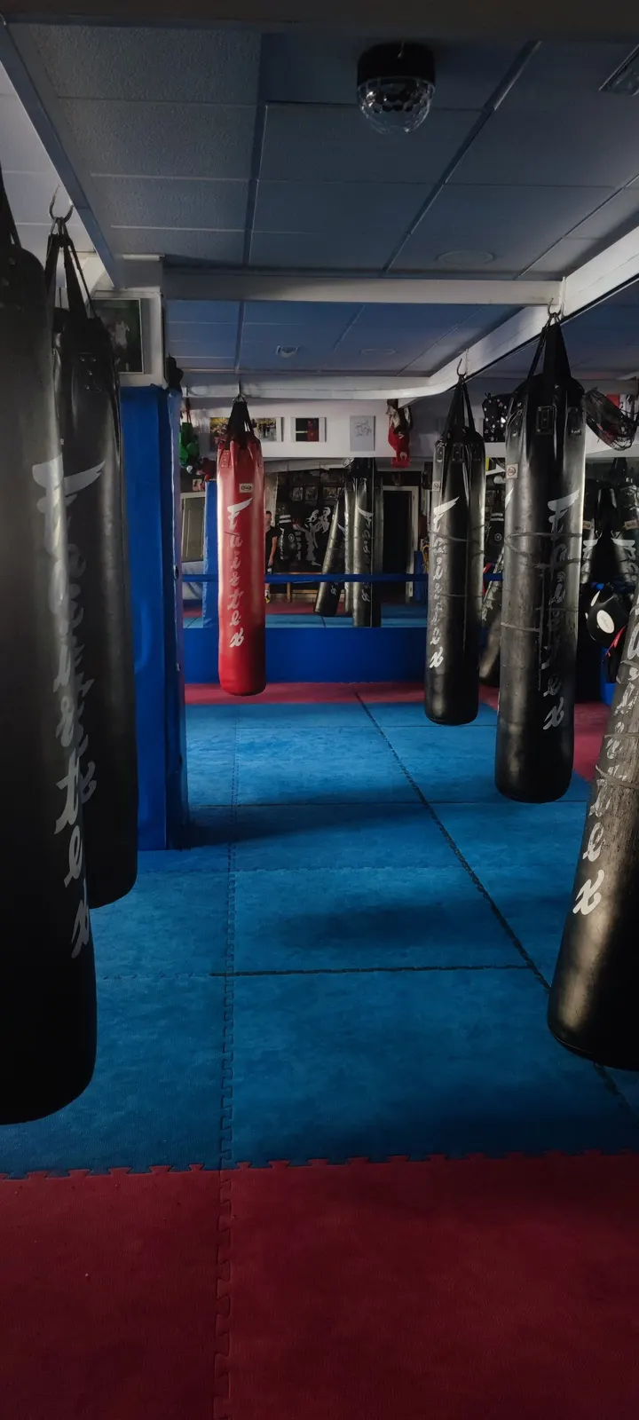 Tom Club, Artes Marciales — Artes marciales en La Laguna