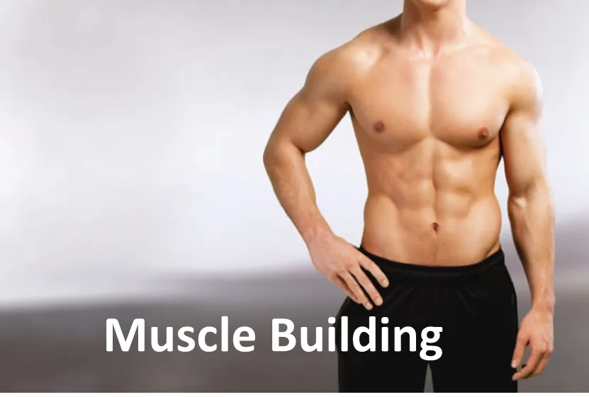 Forward Fitness Personal Training — pt studio in Colchester — 3