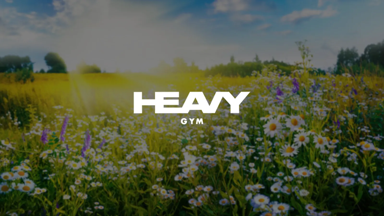 Heavy gym — träningsstudio i Bollnäs — 2