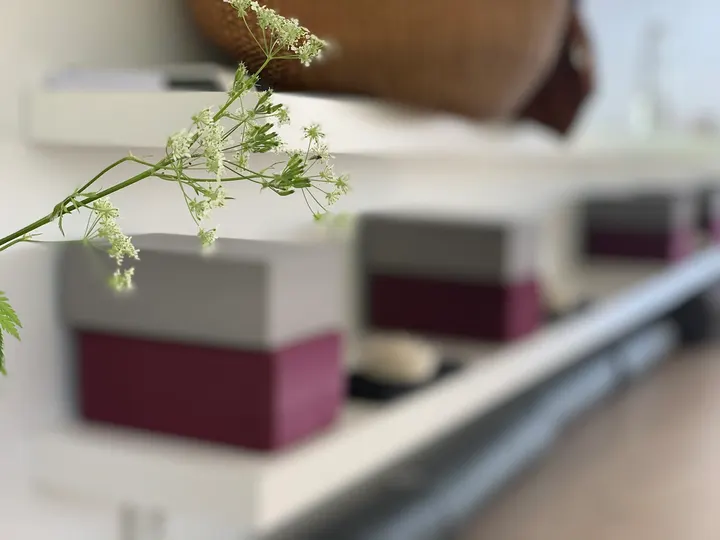 Dorthe Irvold Yoga — yoga-studio i Kostræde Banker, Lundby — 2