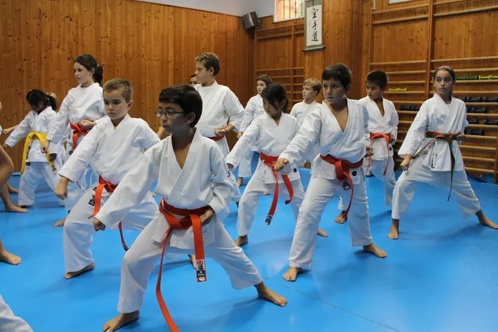 Kidokan Dojo Artes Marciales — artes marciales-studio en Sevilla Este, Sevilla — 2