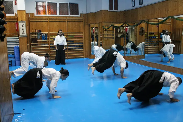 Kidokan Dojo Artes Marciales — Artes marciales en Sevilla Este, Sevilla