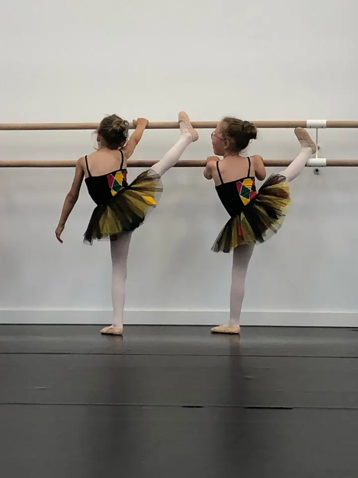 Danse & Pole Atelier École de Classique — salle de fitness-studio à Lyon — 4