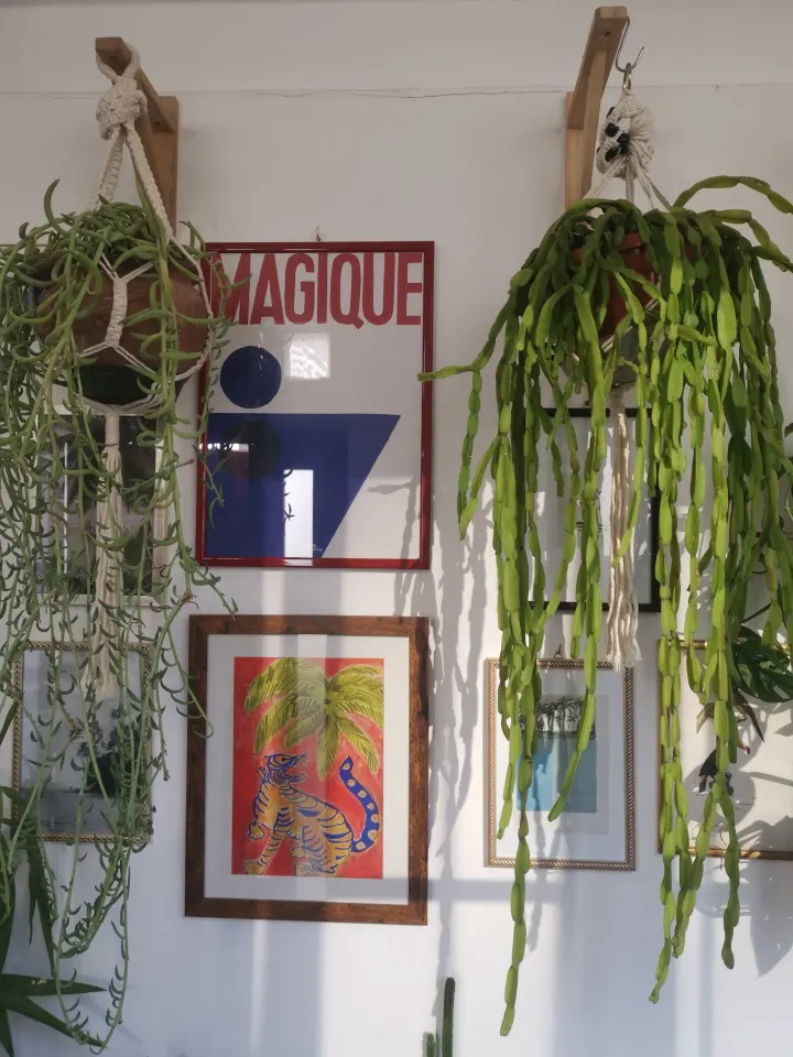 Peperita Yoga Studio — yoga-studio a Vanchiglietta, Torino — 2
