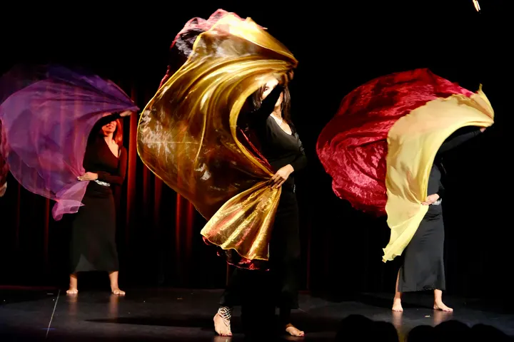 Eden Samia Raqs Orientale — Danse à Paris 14e Arrondissement, Paris