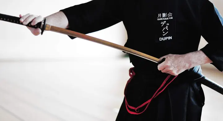 IAIDO ACADEMIE DE TOURAINE — Arts martiaux à Giraudeau, Tours