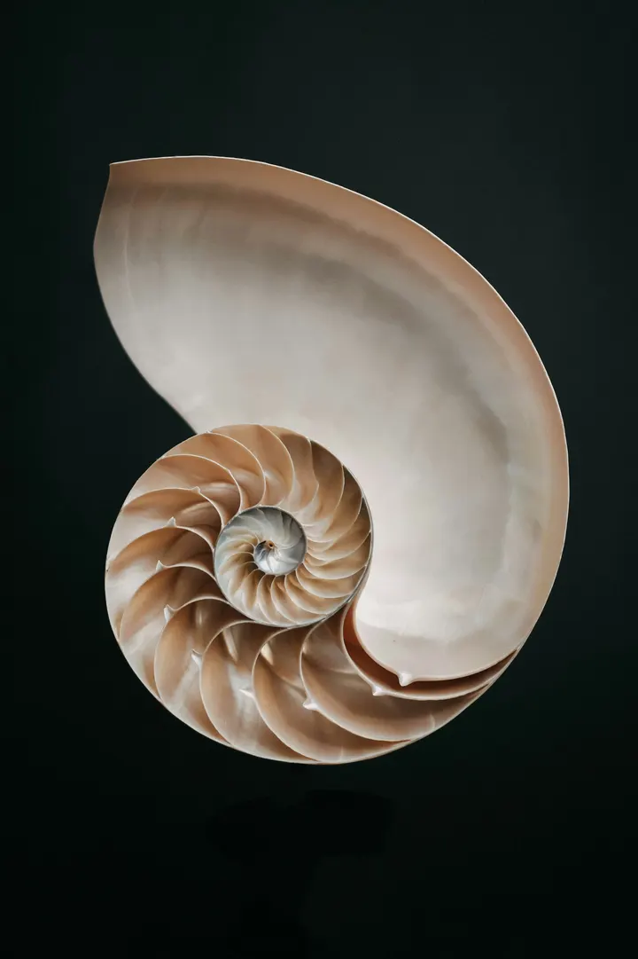 Eye of Hatha — yoga-studio in London — 5
