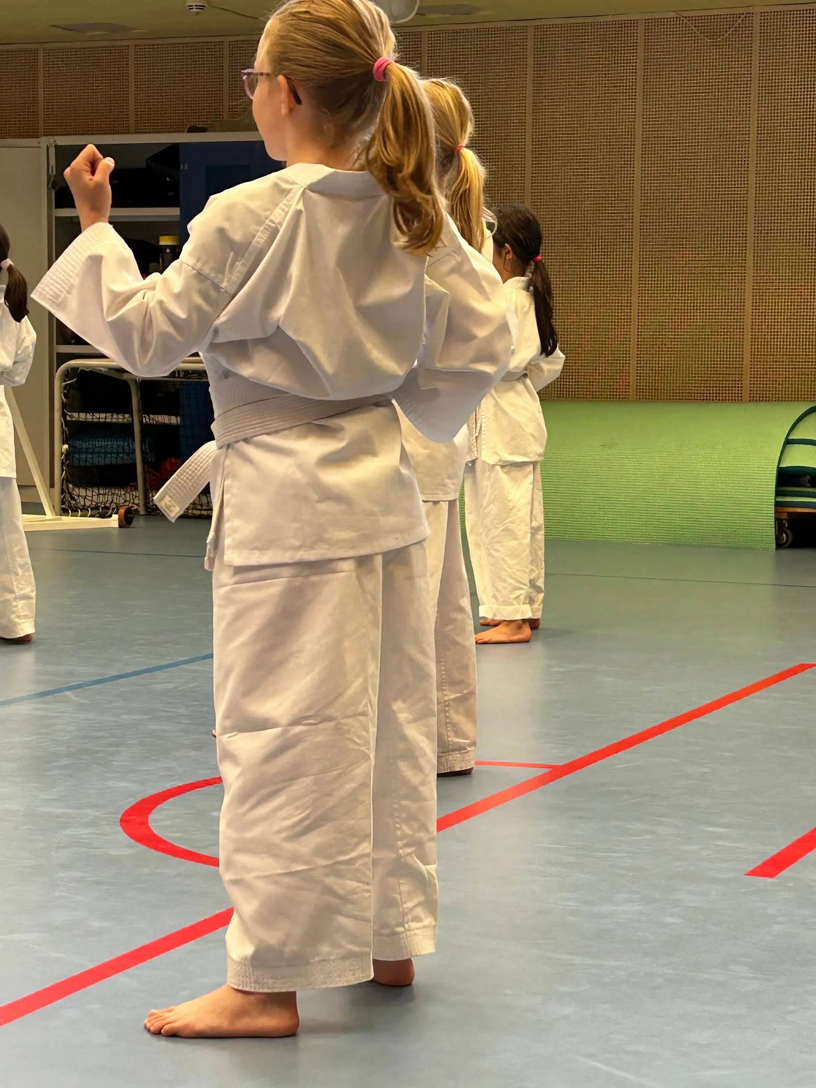 Rustad IL Karate — kampsport-studio i Oppsal, Oslo — 2