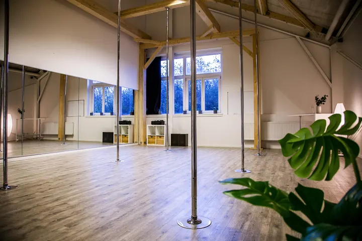 Jim PoleFit Hildesheim — Tanz in Nordstadt, Hildesheim