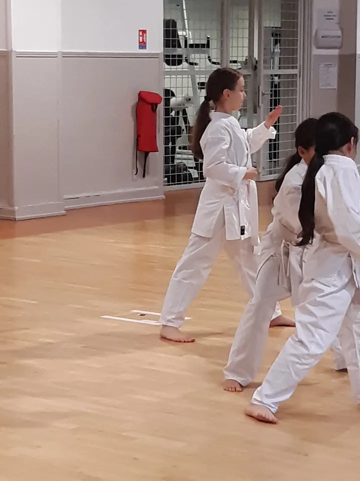La Milhusina — Gymnastique à Rebberg, Mulhouse