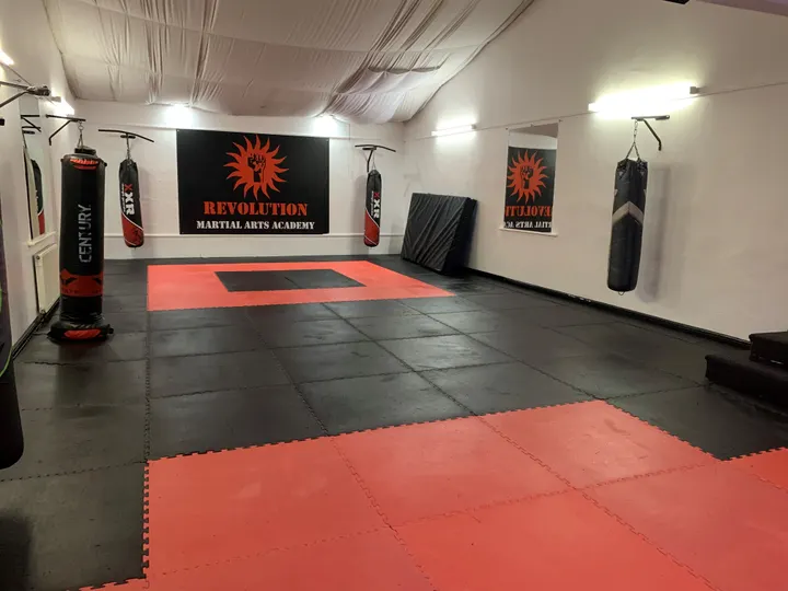 Revolution Martial Arts Academy — martial arts-studio in Chelmer, Chelmsford — 2