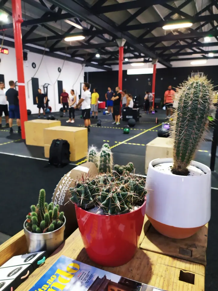 Castelo Box — Treino funcional em Laborim, Vila Nova de Gaia
