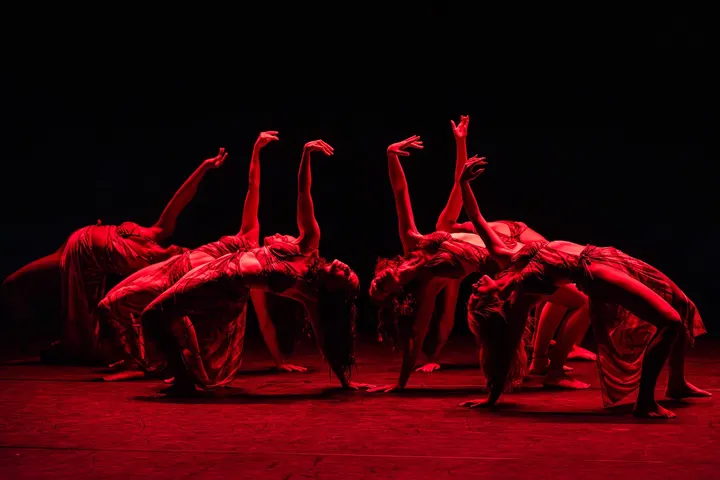 Daï Chi Danses du Monde — Danse à Cordeliers, Lyon