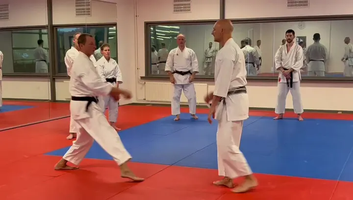 Chudokan Sloterweg — vechtsport-studio in Amsterdam — 3