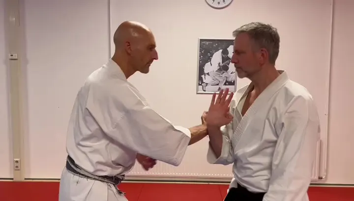 Chudokan Sloterweg — vechtsport-studio in Amsterdam — 4