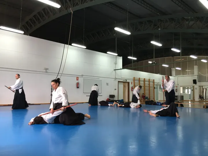 Aikido Aikikai Alicante San Vicente Del Raspeig — artes marciales-studio en San Vicente del Raspeig — 2