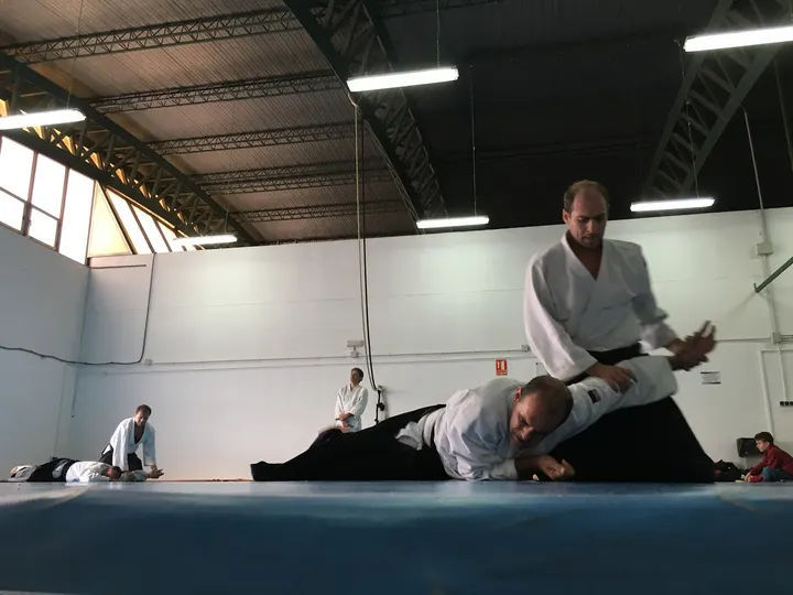 Aikido Aikikai Alicante San Vicente Del Raspeig — artes marciales-studio en San Vicente del Raspeig — 3