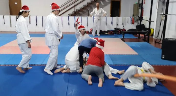 Aikido Aikikai Alicante San Vicente Del Raspeig — artes marciales-studio en San Vicente del Raspeig — 3