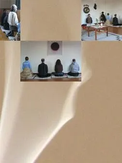 Meditation in Heidelberg — Meditation in Bergheim, Heidelberg