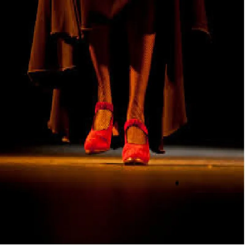 Escuela de Flamenco y Danza Española Isabel Quintero — baile-studio en Justicia, Madrid — 3