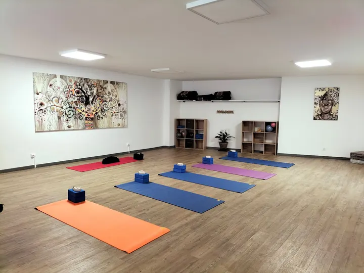 STUDIO YOGA BALIA — yoga-studio à Albi — 5