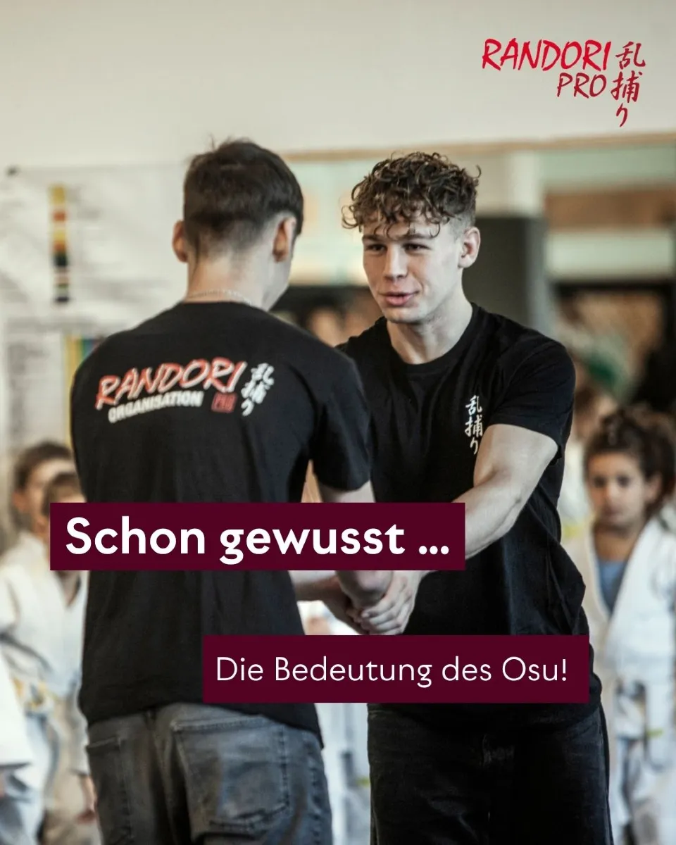 Randori-Pro Steglitz — kampfsport-studio in Steglitz, Berlin — 3