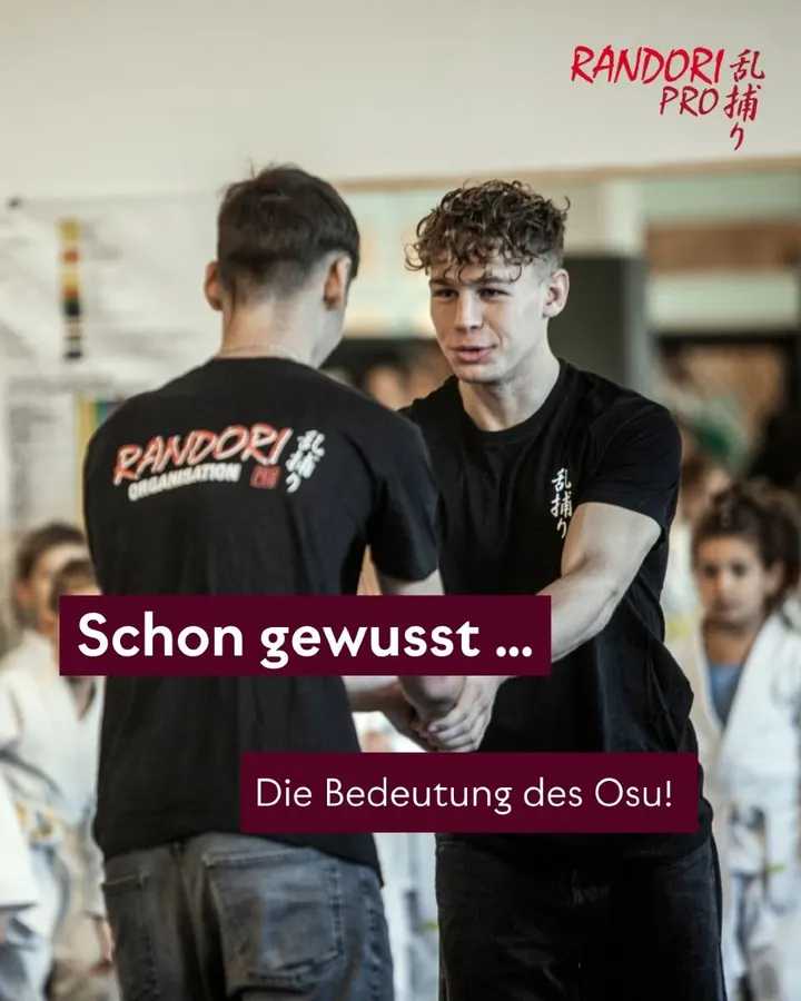 Randori-Pro Steglitz — kampfsport-studio in Steglitz, Berlin — 3