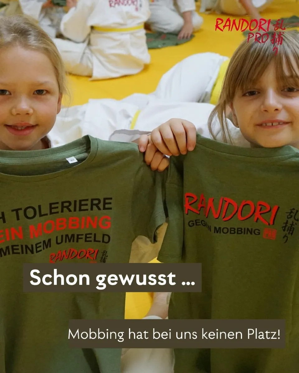Randori-Pro Steglitz — kampfsport-studio in Berlin — 4