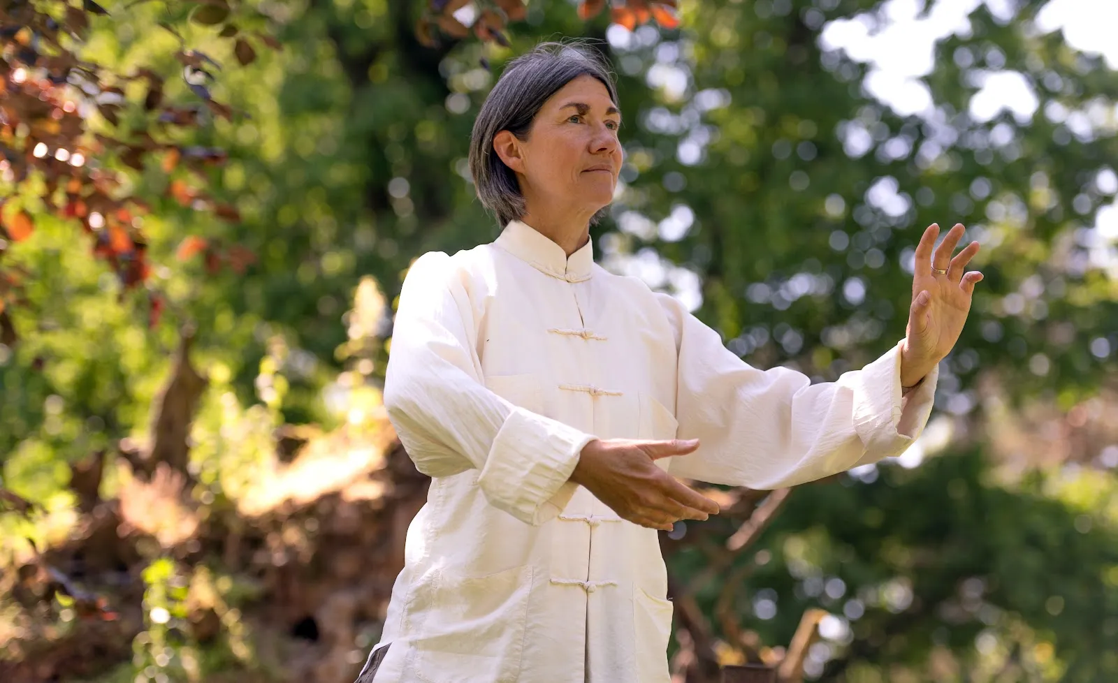 Taichi-Münster (Tai Chi Chuan, Taiji-Qigong) — kampfsport-studio in Hansaplatz, Münster — 2
