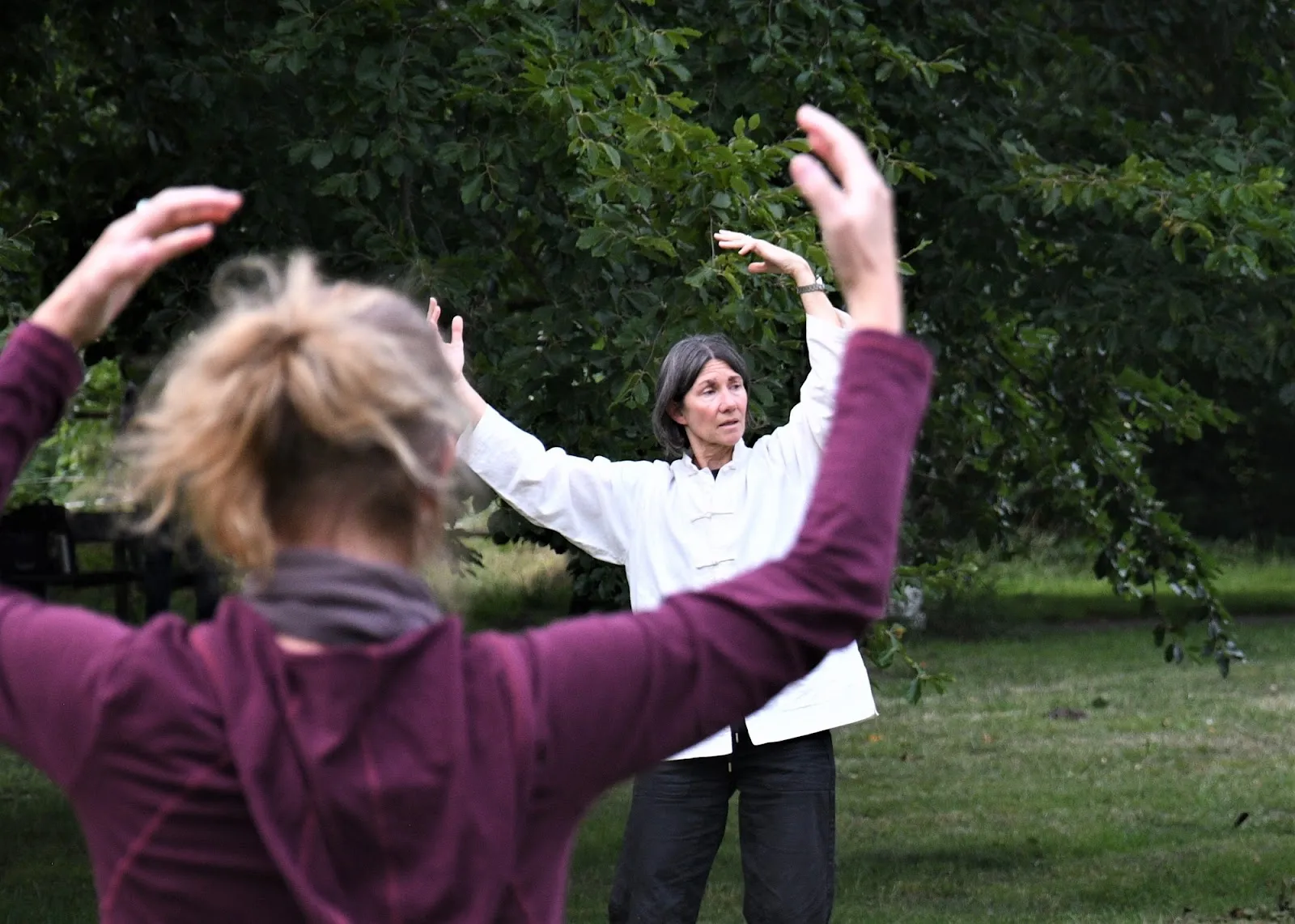 Taichi-Münster (Tai Chi Chuan, Taiji-Qigong) — kampfsport-studio in Hansaplatz, Münster — 3